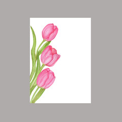Watercolor floral banner with pink tulips.