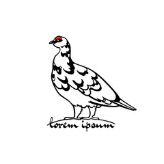 Vector card with hand drawn graceful motley rock ptarmigan. Ink drawing, decorative graphic style. Beautiful animal design elements, northern destinations travel poster