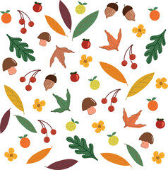 Autumn leaves pattern, autumn elements set vector illustrations