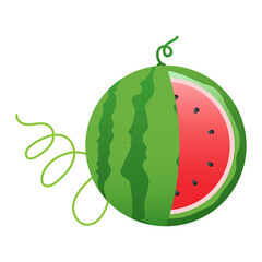 Watermelon and juicy slices vector, flat design of green leaves and watermelon flower illustration, Fresh and juicy fruit concept of summer food.