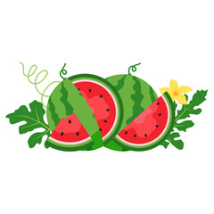 Watermelon and juicy slices vector, flat design of green leaves and watermelon flower illustration, Fresh and juicy fruit concept of summer food.