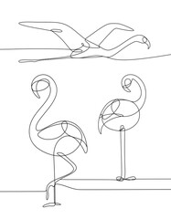 Vector abstract outline flamingos set on white background. Few tropical bird silhouettes. Decorative hand drawn linear elements for banner layout design, prints. Creative trendy illustration. Zoo.
