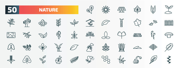 set of 50 special lineal nature icons. outline icons such as obovate, seeding, cherry leaf, four toe footprint, hair style, woods, chestnut leaf, fasciculate, cordate, chemical structure line icons.