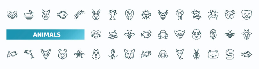 set of 40 special lineal animals icons. outline icons such as racoon, rabbit, sea cow, male sheep, siberian husky, gold fish, capybara, ant eater, crocodile, zander line icons.