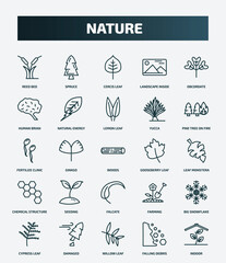set of 25 special lineal nature icons. outline icons such as reed bed, spruce, obcordate, lemon leaf, fertilize clinic, gooseberry leaf, seeding, big snowflake, willow leaf, falling debris line
