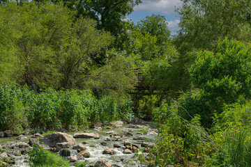 Fototapeta na wymiar Edwards Aquifer spring fed San Pedro Creek emerges underneath bridge surrounded by summer green foliage and trees with shimmering water captured as it cascades over rocks and boulders in the creek
