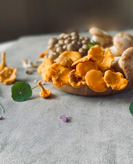 Porcini and Chanterelle Musrooms on the black cutting board and woodern board on the table. 