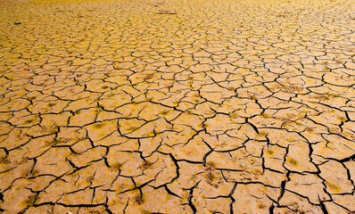 the texture of the cracked soil after the drying of the lake