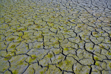 Cracked soil due to drought