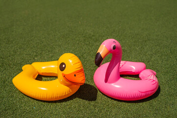 A swimming circle in the shape of a pink flamingo and a duck on an artificial cover of green grass