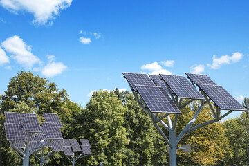 a small branch of solar panels against the sky