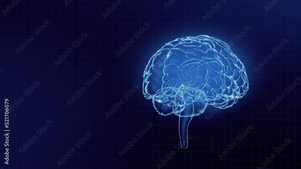Aufkleber brain model x-ray look isolated on black grid background. looping without breaks