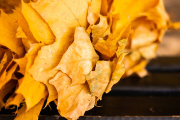 Shot close up of a bouquet of yellow autumn leaves lying on a wooden brown bench