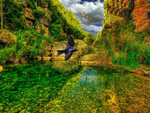 El Pinatell (Montblanc) - riu Brugent - Conca de Barber&agrave;