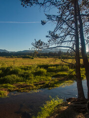 Upper Truckee River and Johnson Meadow during golden hour, 2