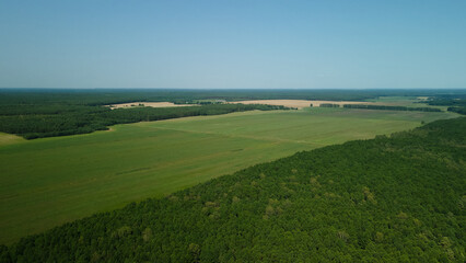 Rural landscape. Green forests and fields. Aerial photography.