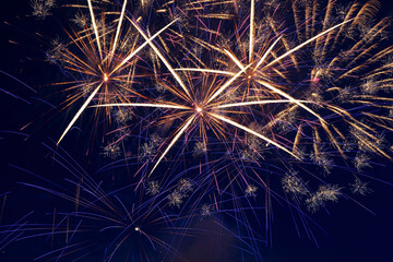Fototapeta premium Colorful fireworks in the night sky. Festive pyrotechnics. Background image.