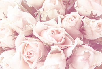 Fototapeta premium bouquet of roses close up