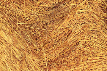 background texture straw yellow nature ornament