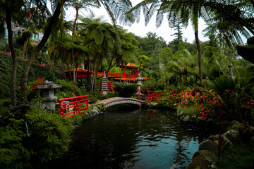 Fototapeta premium tropical garden 5
