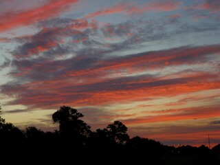 Fiery streaks of clouds at sunrise, with silhouettes of the treetops