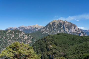 forested canyon and gorge in a mountain range, clear blue summer sky