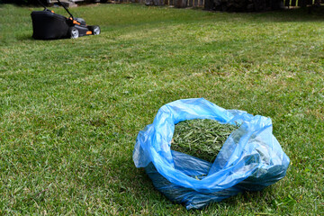 An image of a blue recycling bag filled with grass clipping and with a lawn mower in the back ground. 