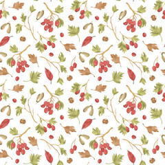 Vector seamless pattern of hawberry branches, berries and fall leaves, nuts. Autumn forest concept. Hawthorn background.