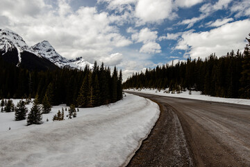 Fototapeta na wymiar Roadside views of the mountains. Peter Lougheed Provincial Park, Alberta, Canada