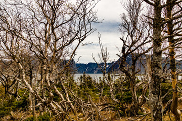 Trail around the falls. Gros Morne National Park, Newfoundland, Canada