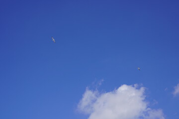 sky cloud background, Beautiful soft blue sky with white clouds best for nature background