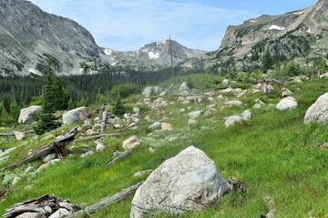 alpine meadow in the mountains