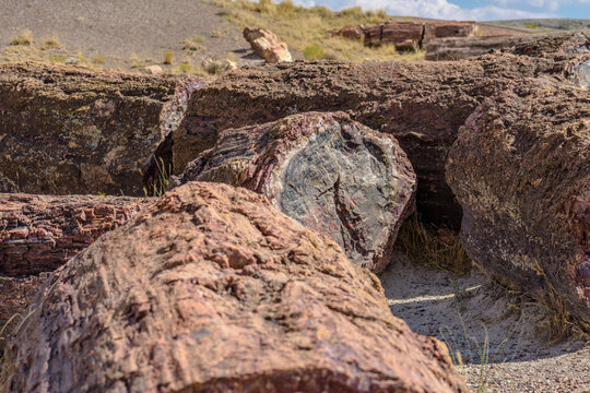Image captured at the Petrified Forest NP Arizona. Crystalized wood laying all over the place. The colors are amazing.