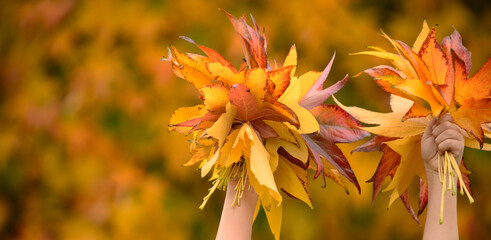 Autumn mood. Child hand hold yellow maple leaves on autumn background.