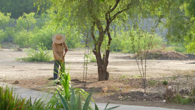 Hombre de sombrero trabajador preparando la tierra y limpiando en el campo