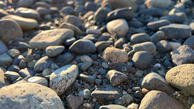 the camera slowly floats over the rocky beach of the Pacific ocean showing each stone for any background For the text of the advertisement music for relaxation Parksville beach Surfside RV resort.