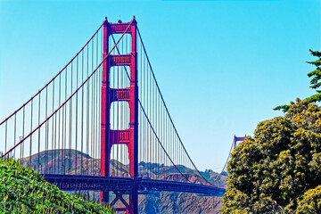 View of the Golden Gate Bridge Through Trees