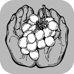 Grapes harvest in farmers hands. Etiquette logo design for wine bottle. Autumn rural vino festival. Winery production. Organic healthy food. Hand drawn retro vintage illustration. Old style drawing. 