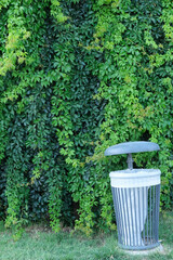 Green environment concept. Green environment background with green leaves. Green leaves background. Throwing trash in a garbage bin.