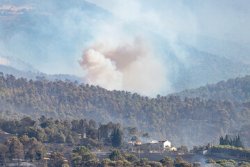 A great column of smoke rises from the trees. The fire burns the forest and devastates everything in its path. In the foreground a house destroyed by fire. Navarre, Spain.