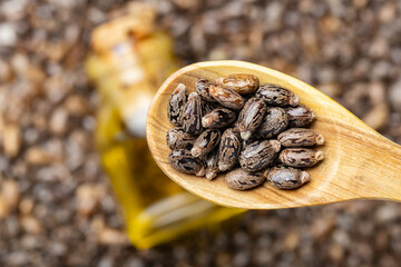 castor oil spoon seeds, top view image