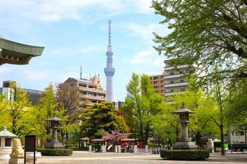 Obraz premium 横綱町公園