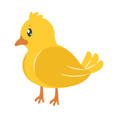 yellow chicken icon