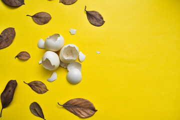 Broken bird eggs on yellow background, conceptual image of separation, leaving, exclusion and old memories, New life. Overhead view, flat lay.
