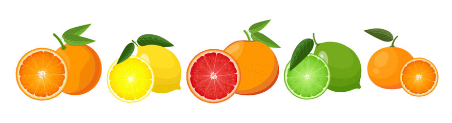 Citrus fruits set with slices and leaves, vector illustration on white background