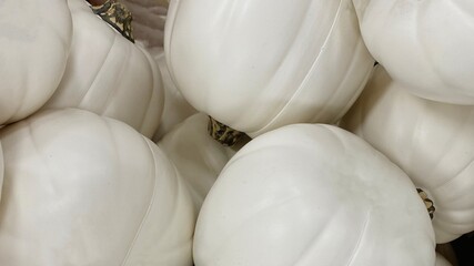 White Pumpkin Background - Add Halloween Text
