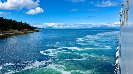 the ferry arrives from the coast of Canada to Vancouver Island, you can see the sea that seethes...