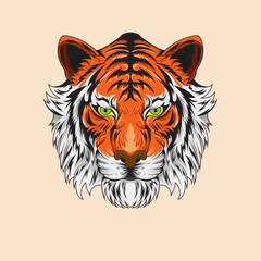 Character Animal Tiger Beast Hand drawn colored Vector illustrations.