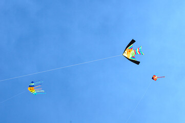 Fish fancy kites flying isolated on blue sky background