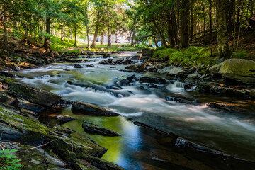 Obraz premium waterfall in the forest